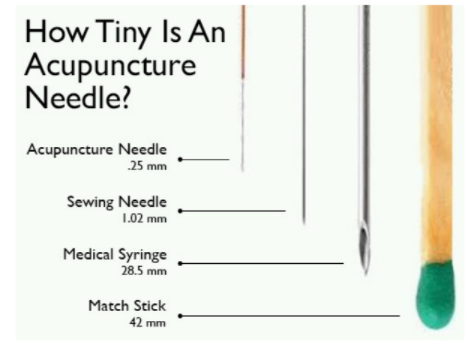 How tiny is an acupuncture needle